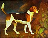 A Foxhound,Ringwod by George Stubbs
